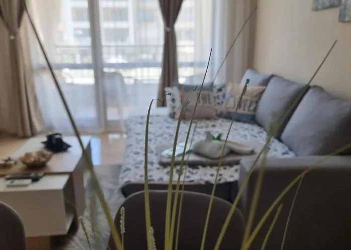 Sea Dreams Sunrise * סבטי ולאס