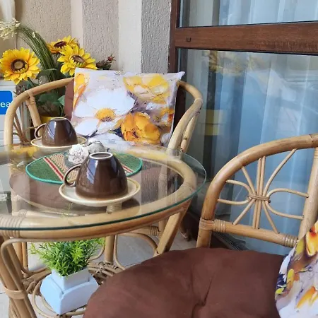 Sea Dreams Sunrise Szveti Vlasz