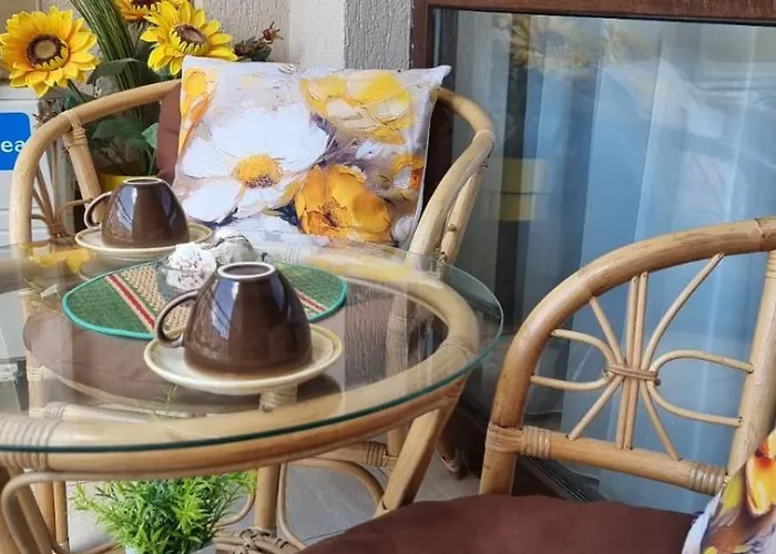 Sea Dreams Sunrise 스베티 블라스